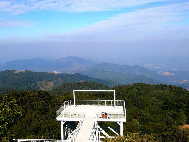 有點意外的象窩山生態園
