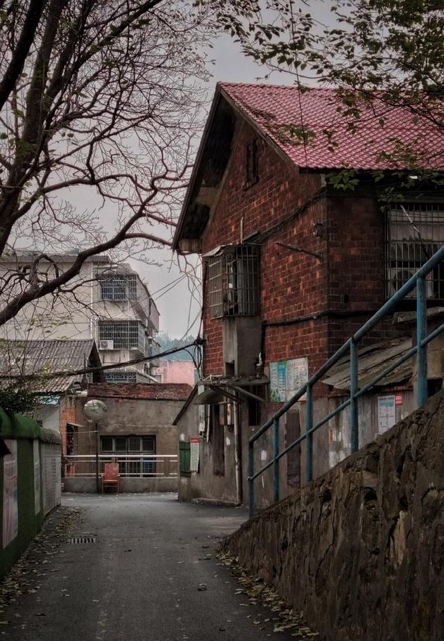 益陽：洞庭湖畔的詩意水鄉
