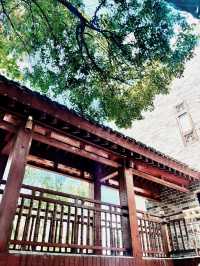 湖南衡陽東洲島‖衡陽八景之一