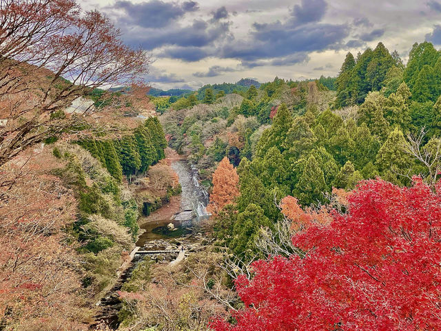 栗又の淹｜養老溪谷紅葉狩