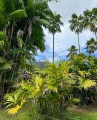 歐胡島植物園，被綠意治癒的一天