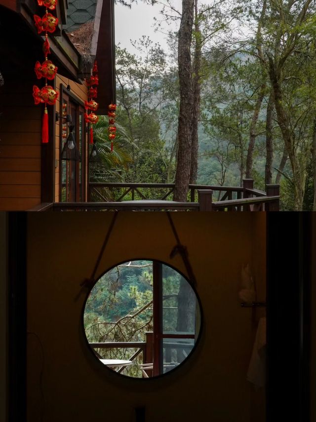信宜 |躲入山林住幾天