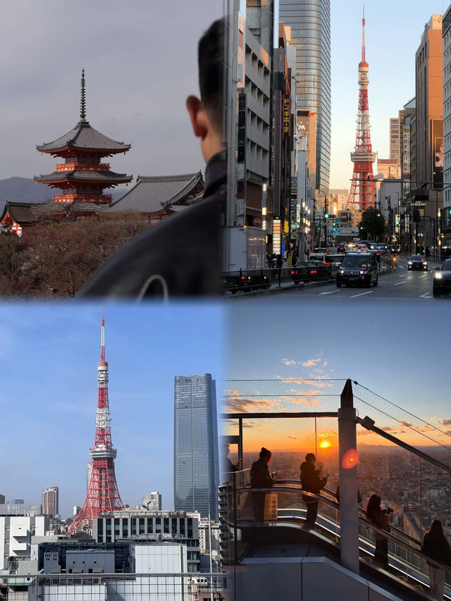日本東京7日 | 躺在床上看富士山。