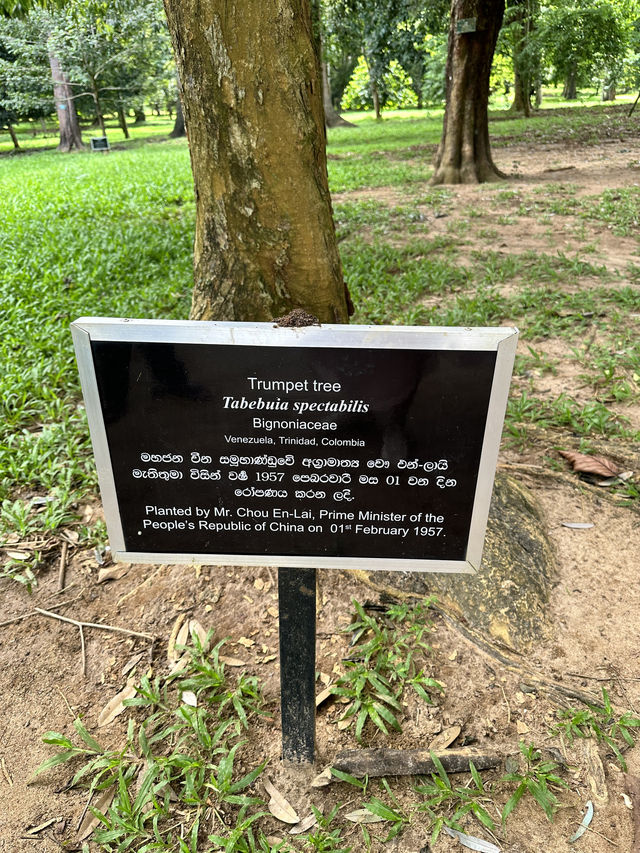 Exploring the Royal Botanic Gardens in Kandy, Sri Lanka