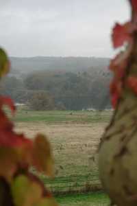 Exploring Harewood House In UK