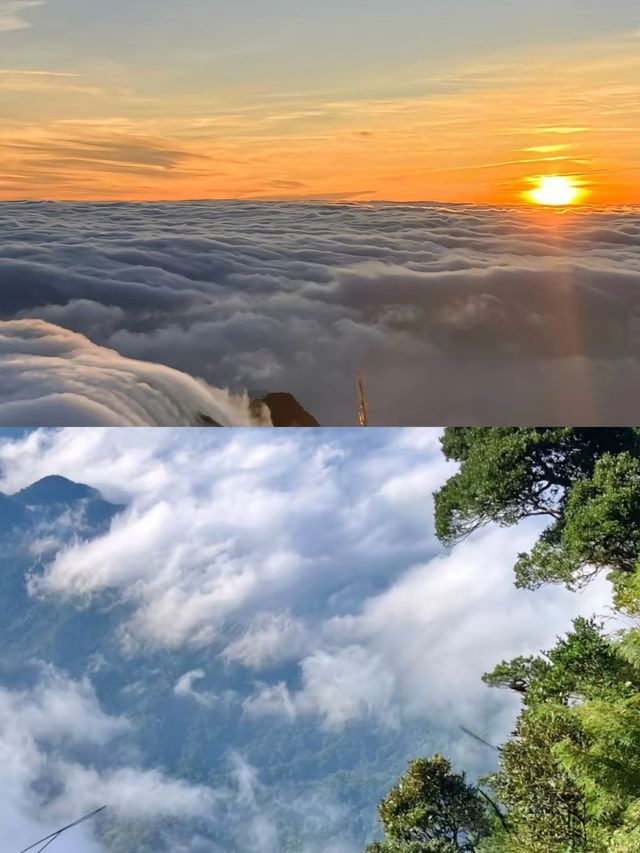 雲海日出，絕美瞬間