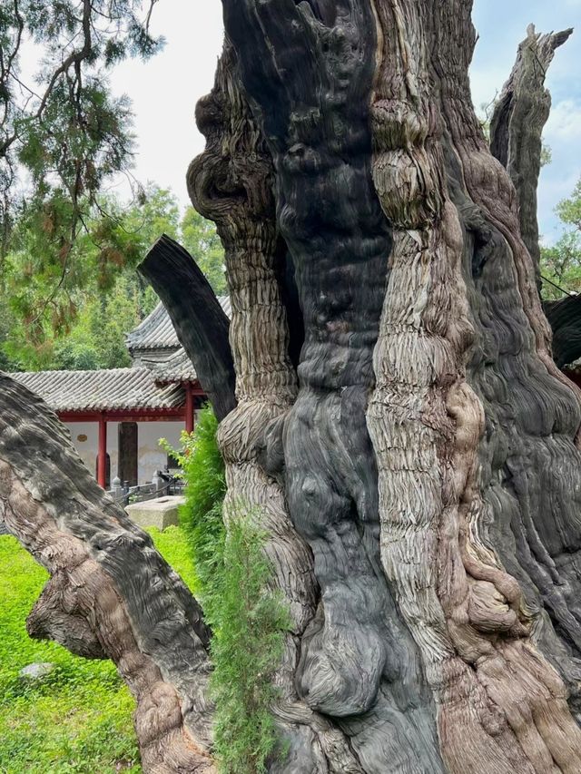 穿越千年時光，探秘河南嵩陽書院的儒風墨韻！
