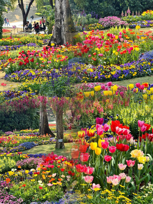 廣州限定！闖入莫奈花園的夢幻春日