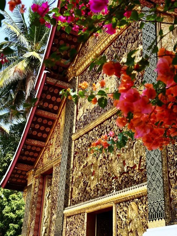 Discover the Beauty of Wat Xieng Thong, Laos' Royal Temple