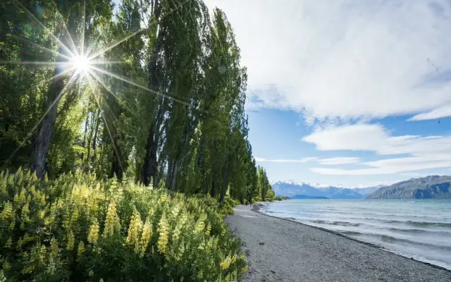 New Zealand: Enter the Oil Painting World of Wanaka