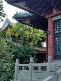 順峰山公園｜順德「新十景」之一