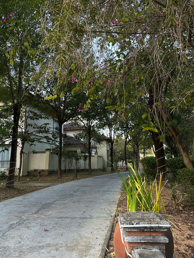 廣州出發2h，巴厘島風情溫泉度假村