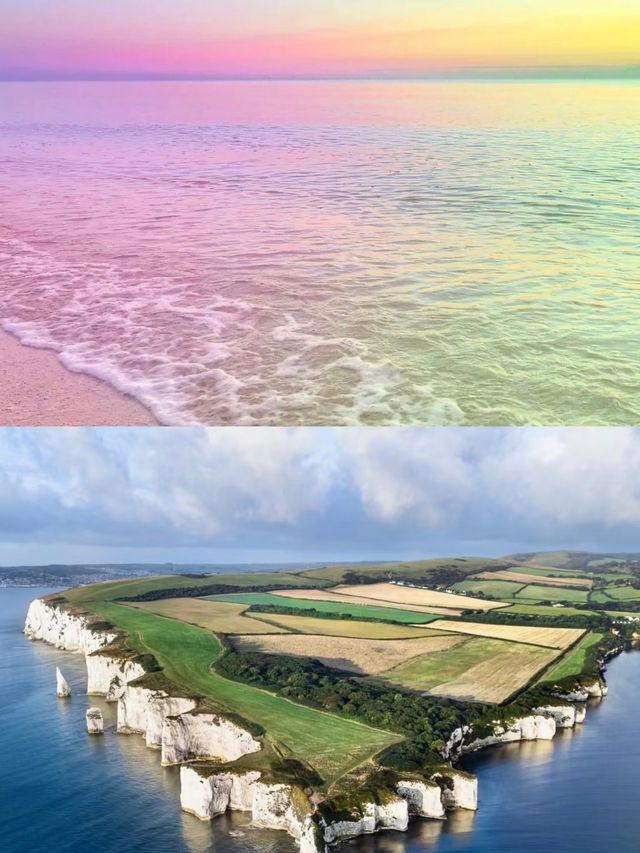 英國南海岸的藍色寶藏
