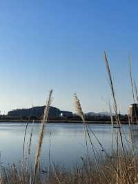 象山3日遊 玩轉全程不重樣