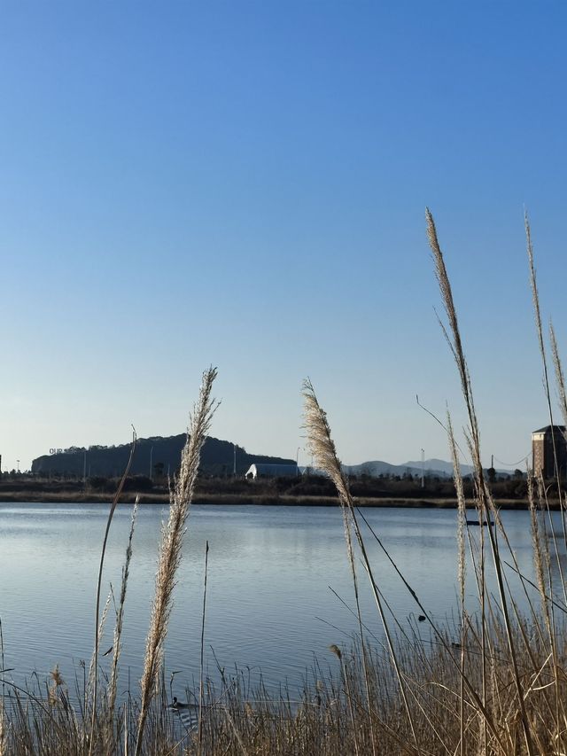 象山3日遊 玩轉全程不重樣