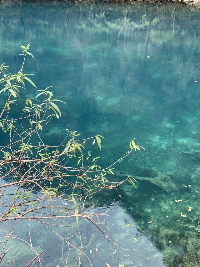 3日暢遊貴陽-荔波-西江千戶苗寨 超詳細攻略來啦 3日暢遊貴陽-荔波-西江千戶苗寨 超詳細攻略來啦