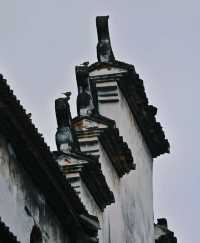 人生建議：來紹興旅行一定要留一天給古村落