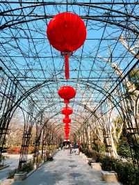 復興公園，冬日風韻
