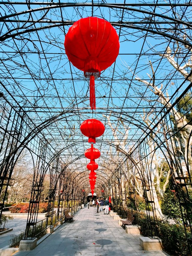 復興公園，冬日風韻