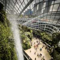 Cloud Forest is a MUST SEE!