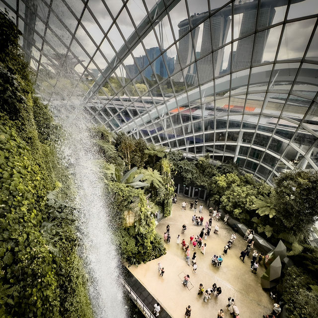 Cloud Forest is a MUST SEE!