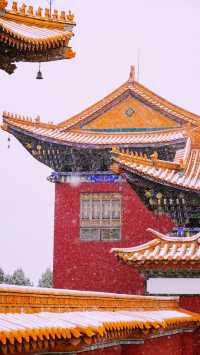 雲南的紫荊城