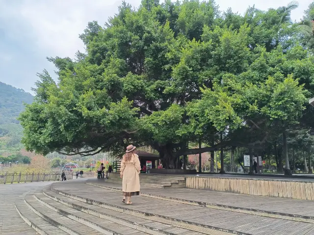 숲 공원 입장