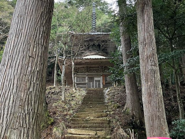 豐岡城崎溫泉：解鎖小眾治癒之旅