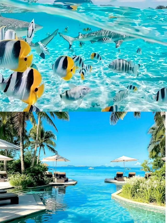 馬洛洛島超全攻略，解鎖海島度假新玩法