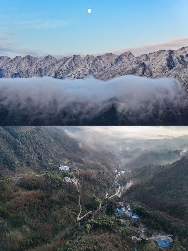 帶娃住進竹林雲海裡 仲可以躺平浸私湯