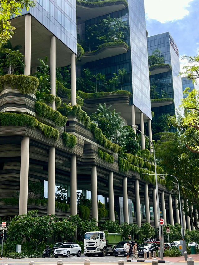 🇸🇬一些在SG的live圖，留下在坡坡的ip