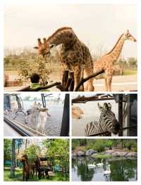 開在野生動物園裏的酒店!