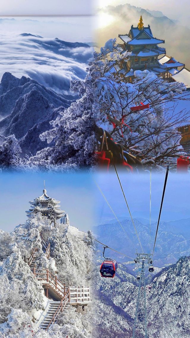 老君山一日遊？女大學生獨自踏上的冒險之旅
