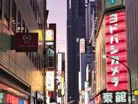Tokyo 2 Days Travel Guide 