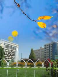 馬什哈德：一個令人流連忘返的城市……