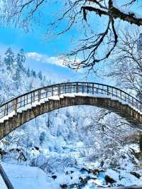 歐洲連遊 滑雪新手變高手