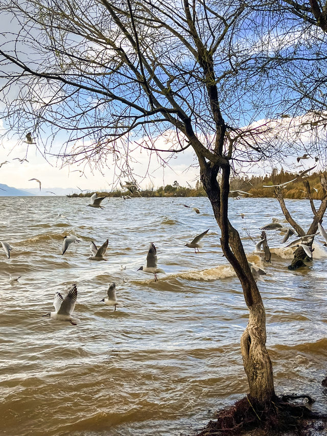 撈魚河濕地公園生存指南：如何完美仆街！