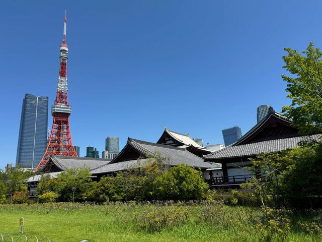 東京藏在都市裡的秘密花園🌳