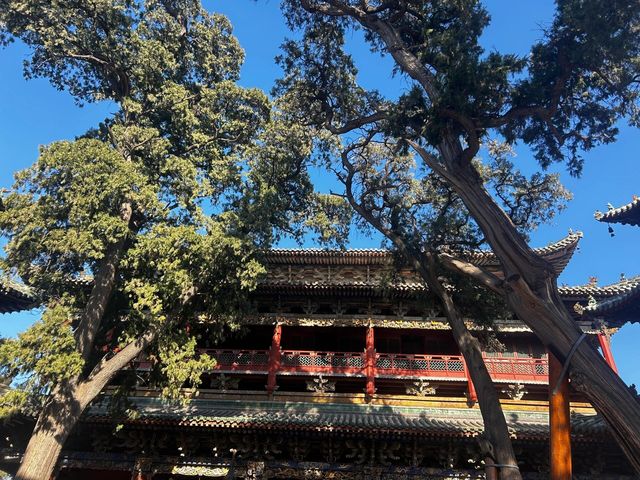 西安周邊運城鹽湖區一日遊，快來打卡呀