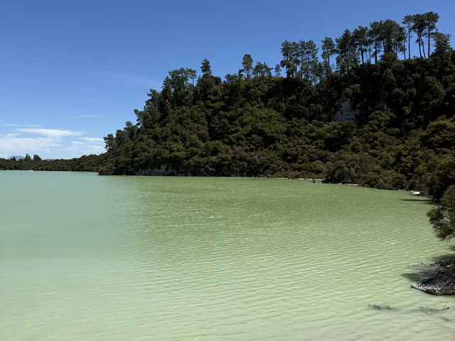 Nature Like You’ve Never Seen It Before, Like Another Planet