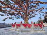 走進延吉東來寺，邂逅自然與禪意交織嘅靈境
