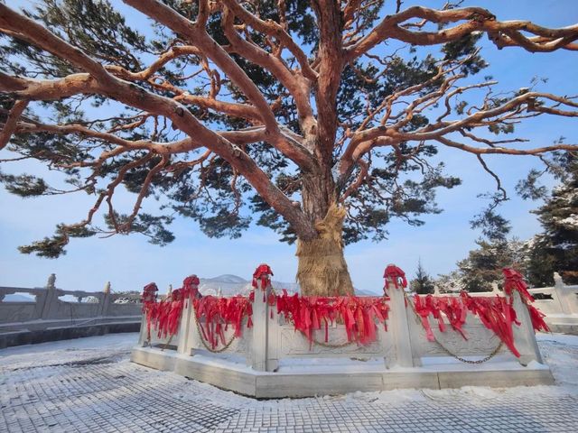 走進延吉東來寺，邂逅自然與禪意交織嘅靈境