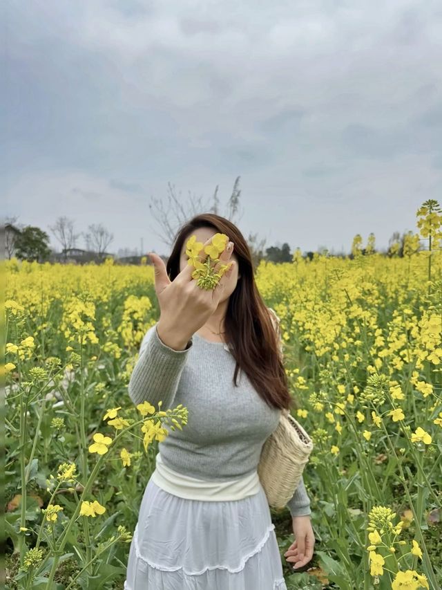 在成都周邊！！躺在房間就可以看油菜花