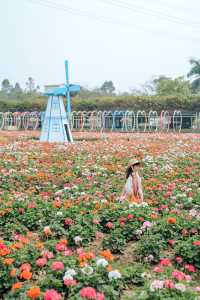 廣佛1小時直達心動樂園，闖入油畫裡的童話世界