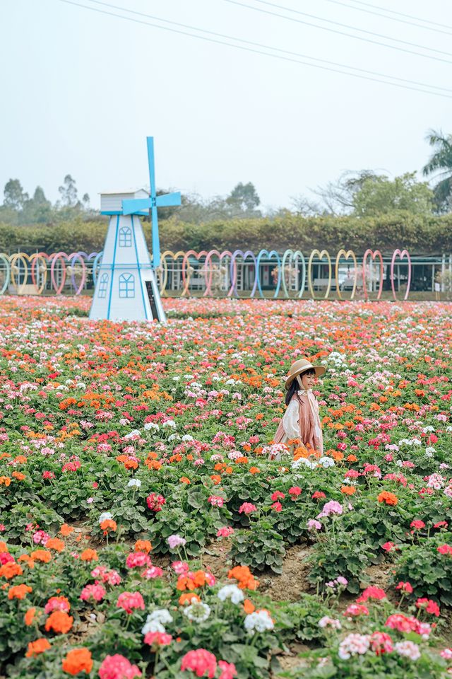 廣佛1小時直達心動樂園，闖入油畫裡的童話世界