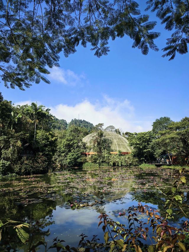 小長假帶全家來景洪5天 旅行攻略必備