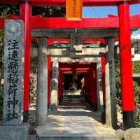 福冈 | 櫛田神社🌸 春日限定浪漫