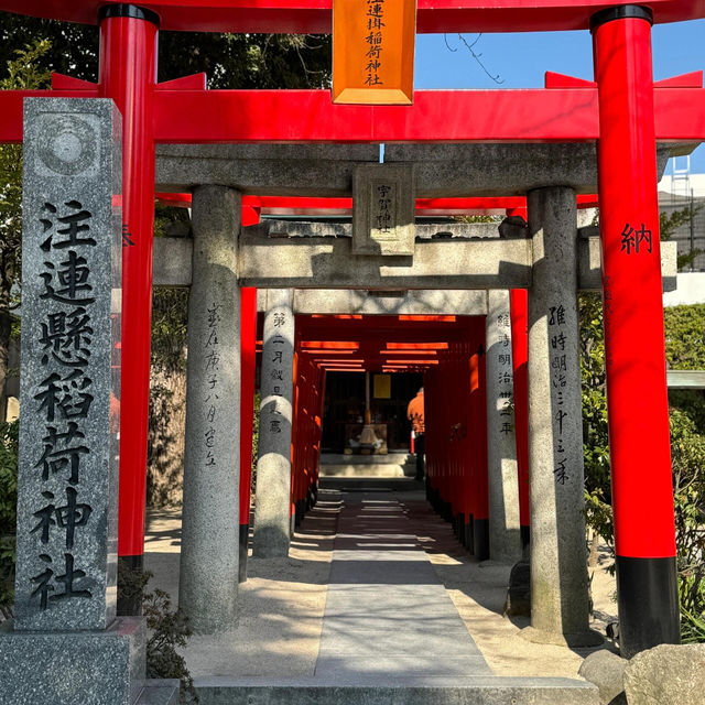 福冈 | 櫛田神社🌸 春日限定浪漫