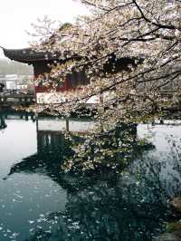 杭州-烏鎮-西塘 遇見古鎮韻味拍照打卡不踩雷