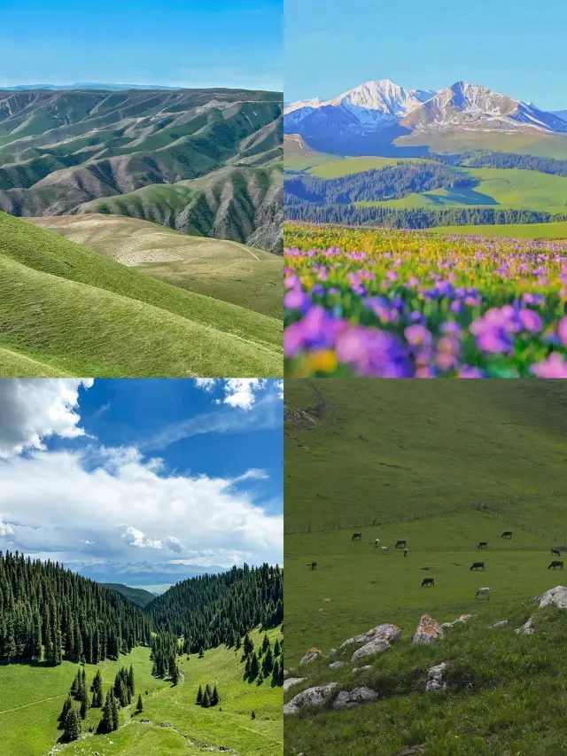 봉신! 카라준 자가용 여행 가이드|4-9월 피해야 할 팁.